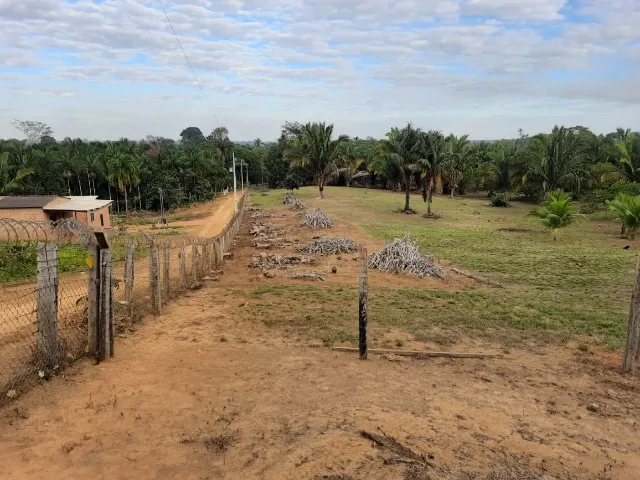 Sítio 20 hectares - Estrada do Belmont