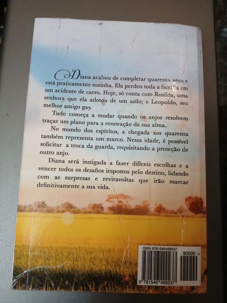 Amor de Alma - Simone Mendonça - Foto 2