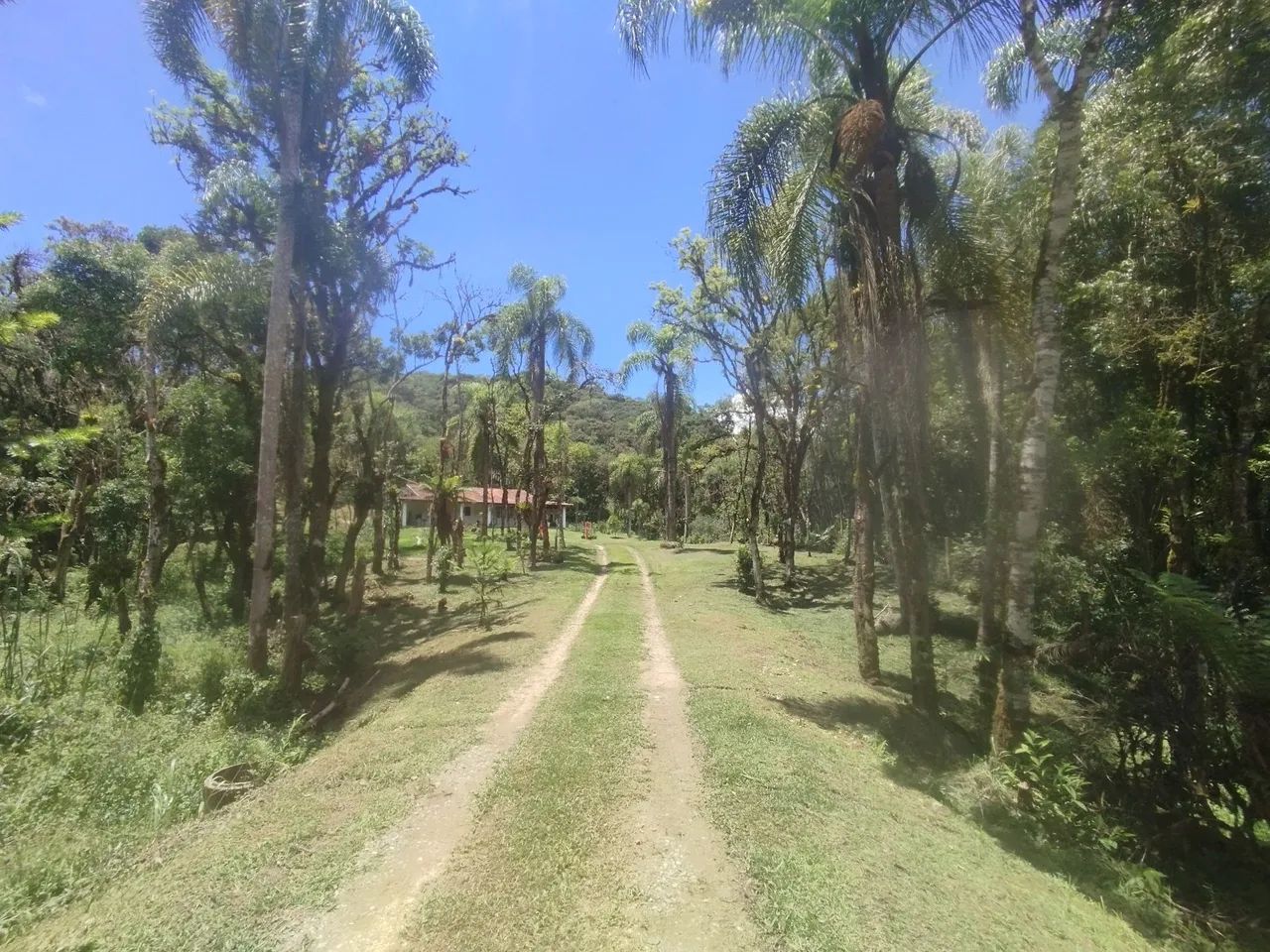 Foto - Quatro Barras - Área Rural