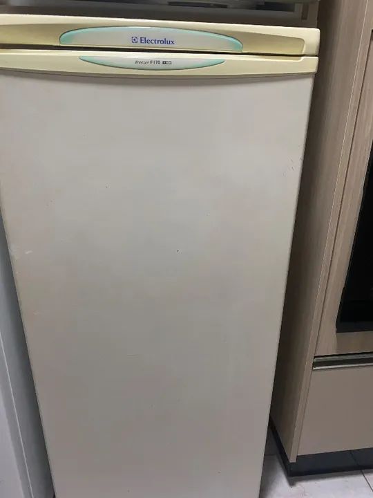 Vendo Freezer F170 Eletrolux 