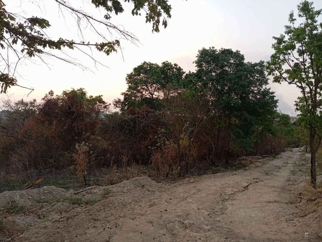 Área à venda no bairro Residencial Paraíso II - Senador Canedo/GO - Foto 7