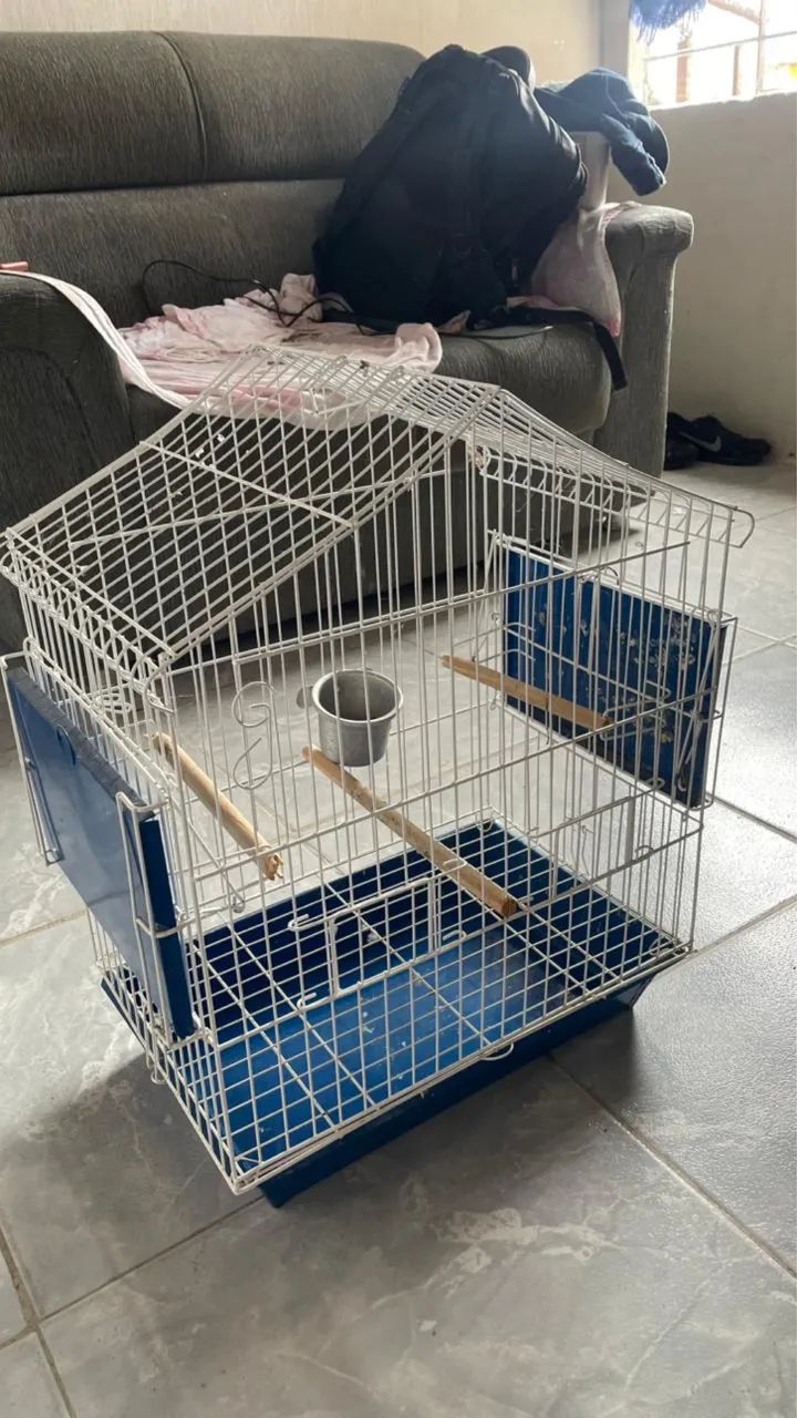 Acessório para pássaros  - Foto 4