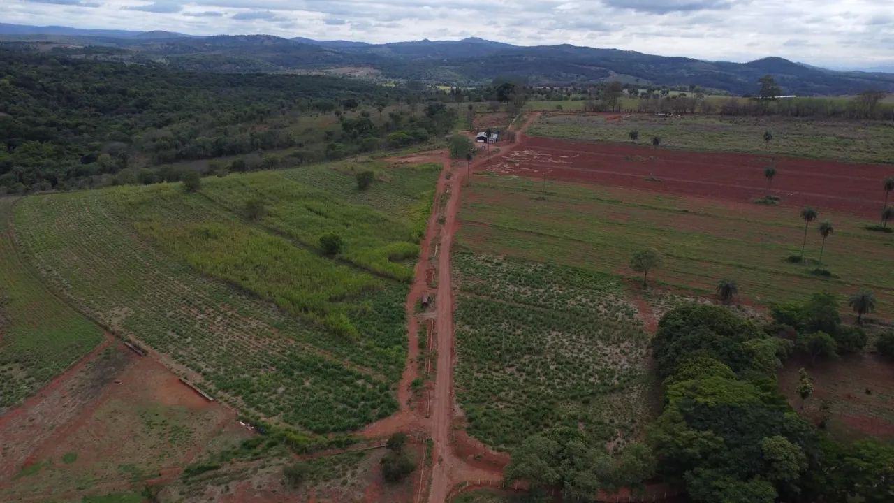 Fazendinhas rural em florestal  - Foto 4
