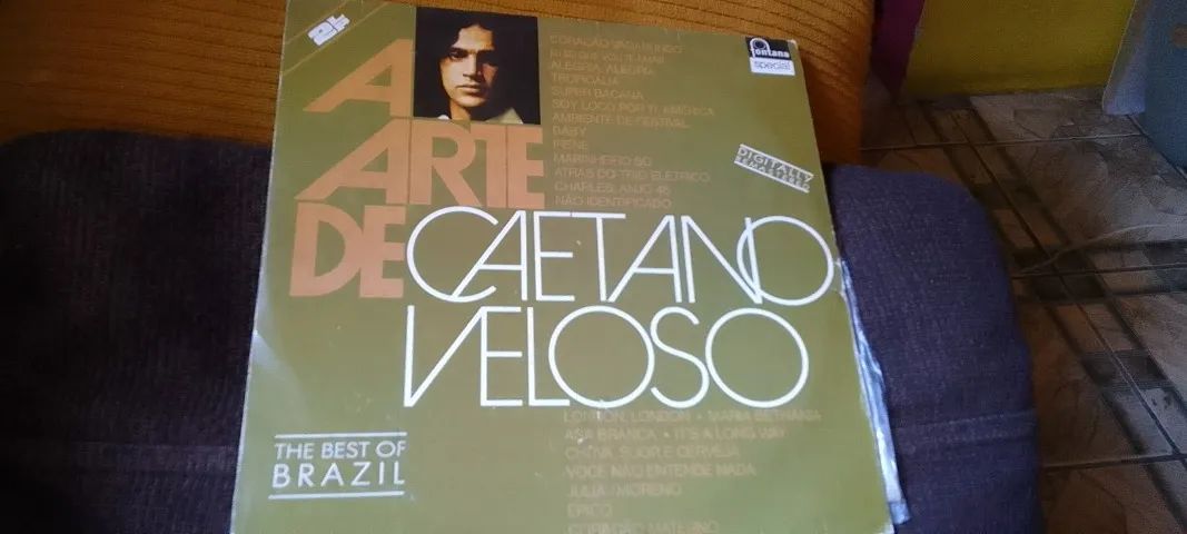 Lp vinil - a arte de caetano Veloso duplo 2 lps