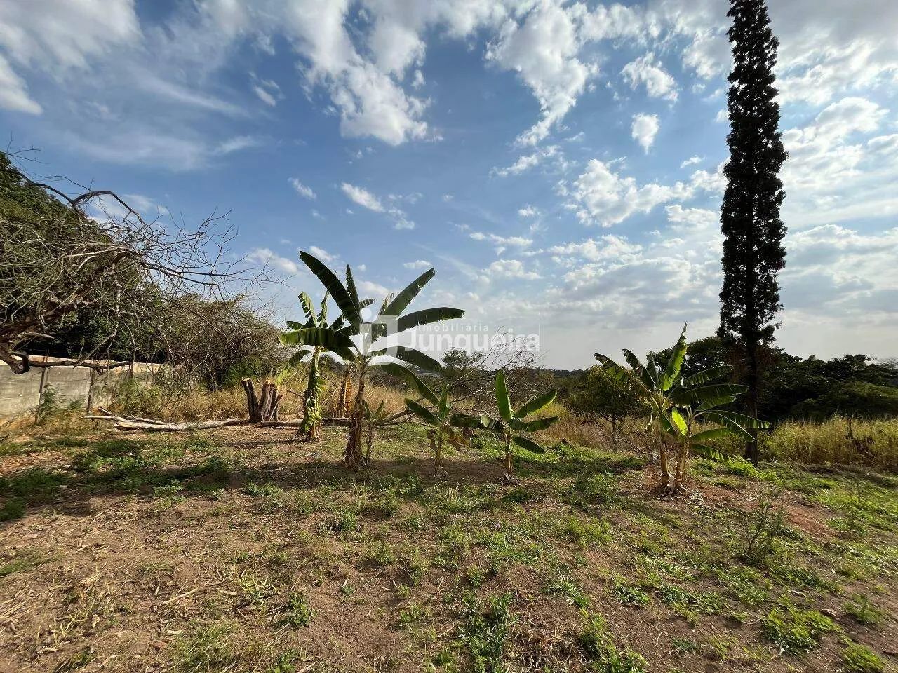 Terreno à venda, Chácara São Jorge - Piracicaba/SP - Foto 5