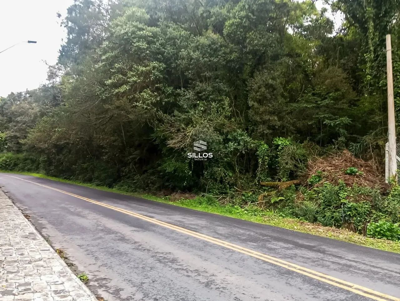 Terreno com 66.589 m² de área total à venda no bairro Ferraria em Campo Largo/PR - Foto 4