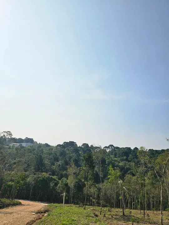 Chacara belas Áreas Roseira Colombo/ Campina Grande do Sul - Foto 6