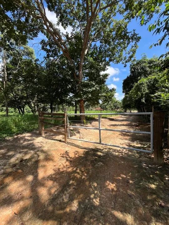 foto - Goiânia - Anhanguera