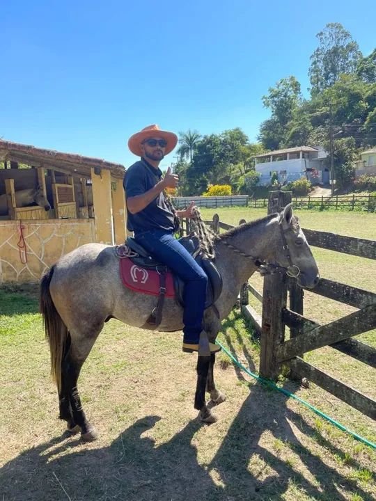 Vendo esse animal - Foto 3