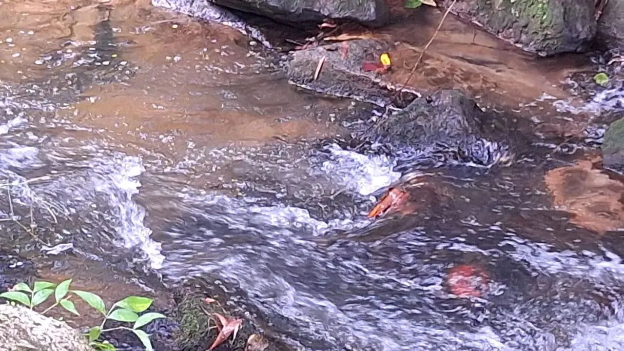 Chácara em Bertioga - Caiubura 1 - Foto 5