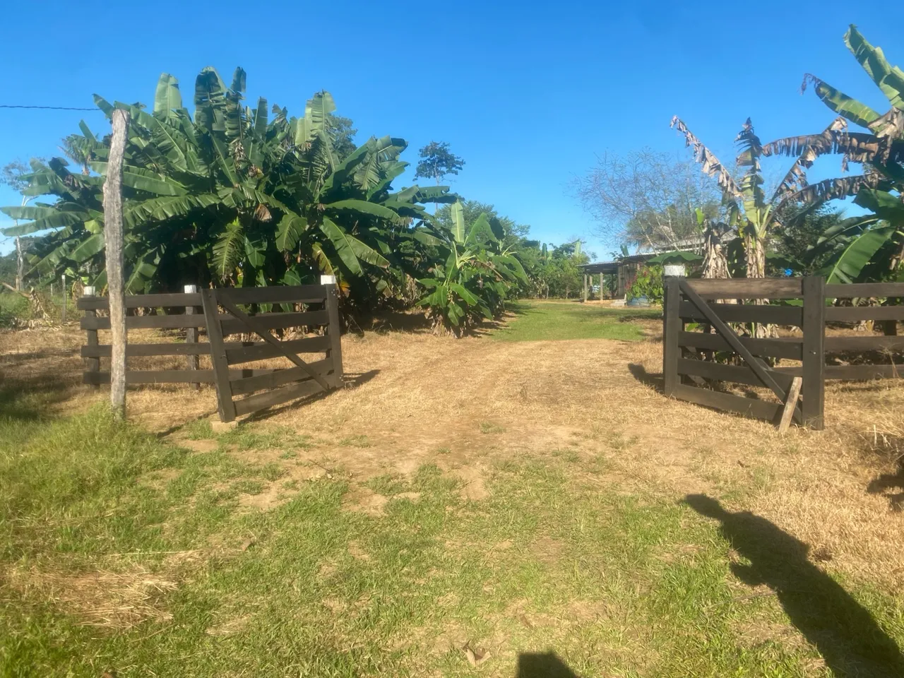 Vende -se uma chácara com açude bananal pé de laranja etc