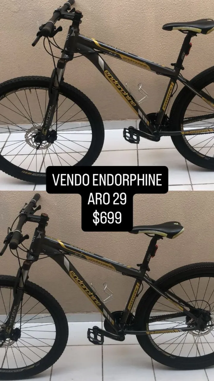 Bike Aro 29 Endorphine Nova Em Ótimo Estado - R$699