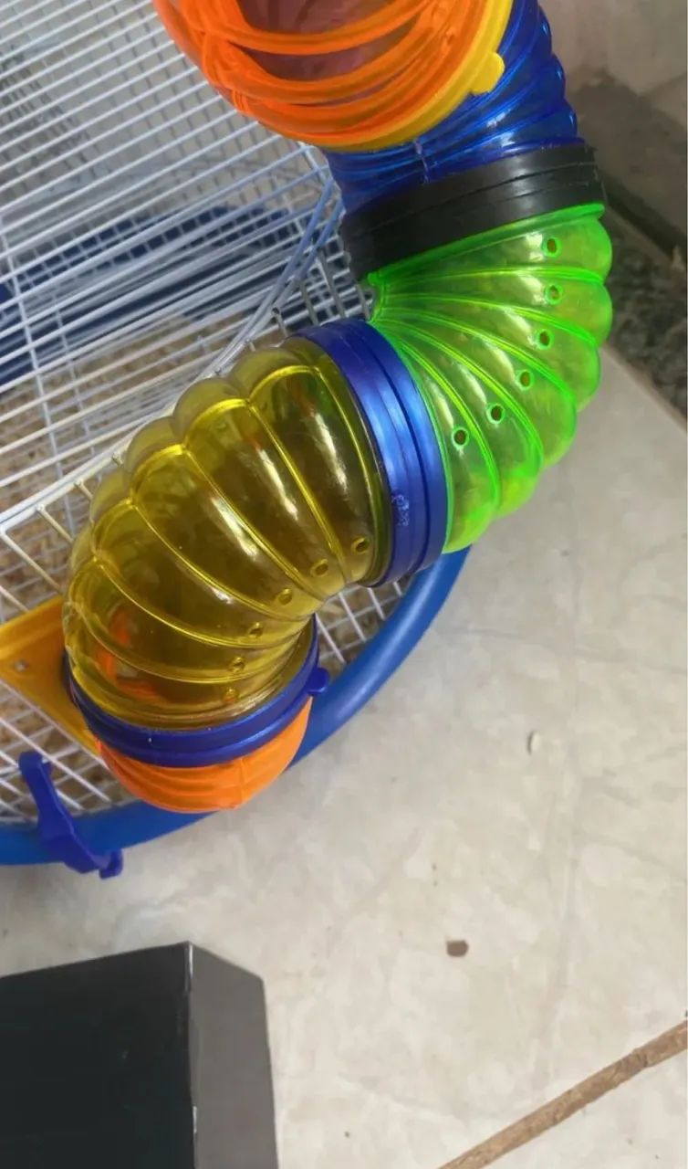 Vendo gaiola com 2 Hamster sírio fêmea  - Foto 2