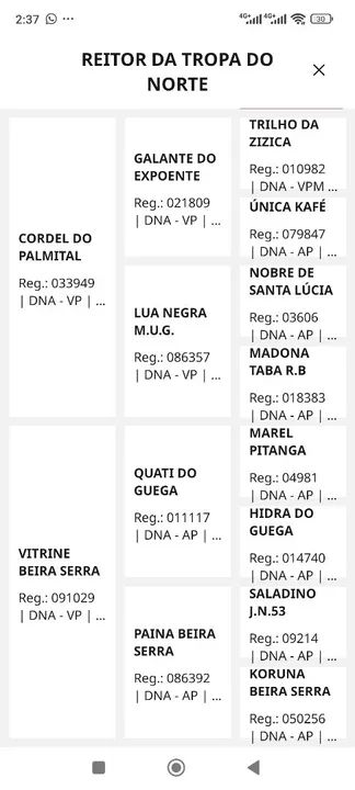 Garanhão mangalarga registrado  - Foto 5