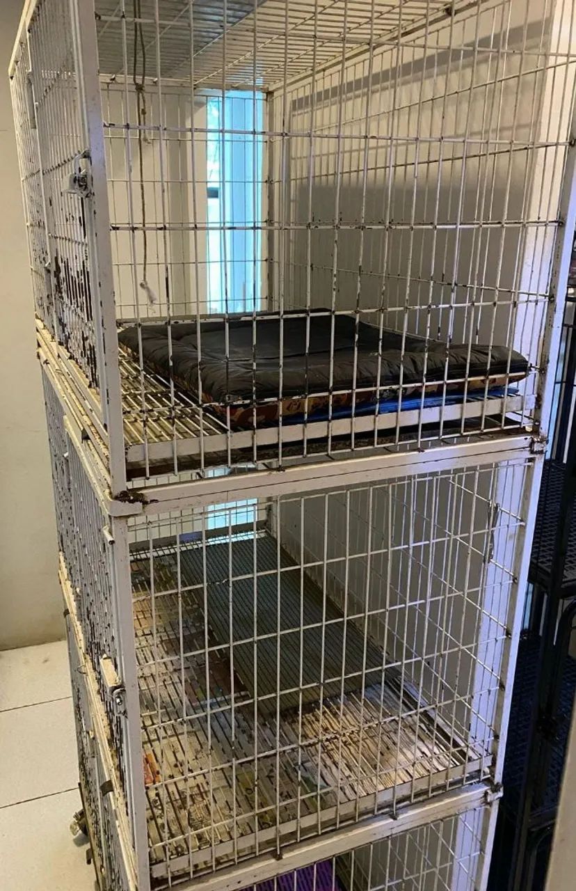 Canil para pet - Foto 2