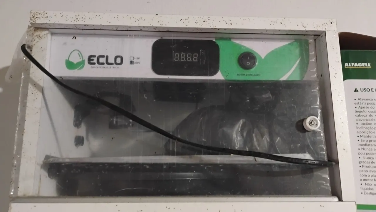 Incubadora ECLO para chocagem de ovos