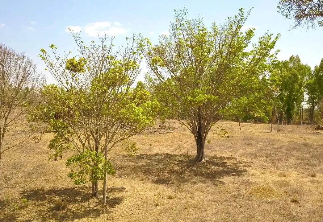 Área Escriturada em Bela Vista de Goiás - Foto 2