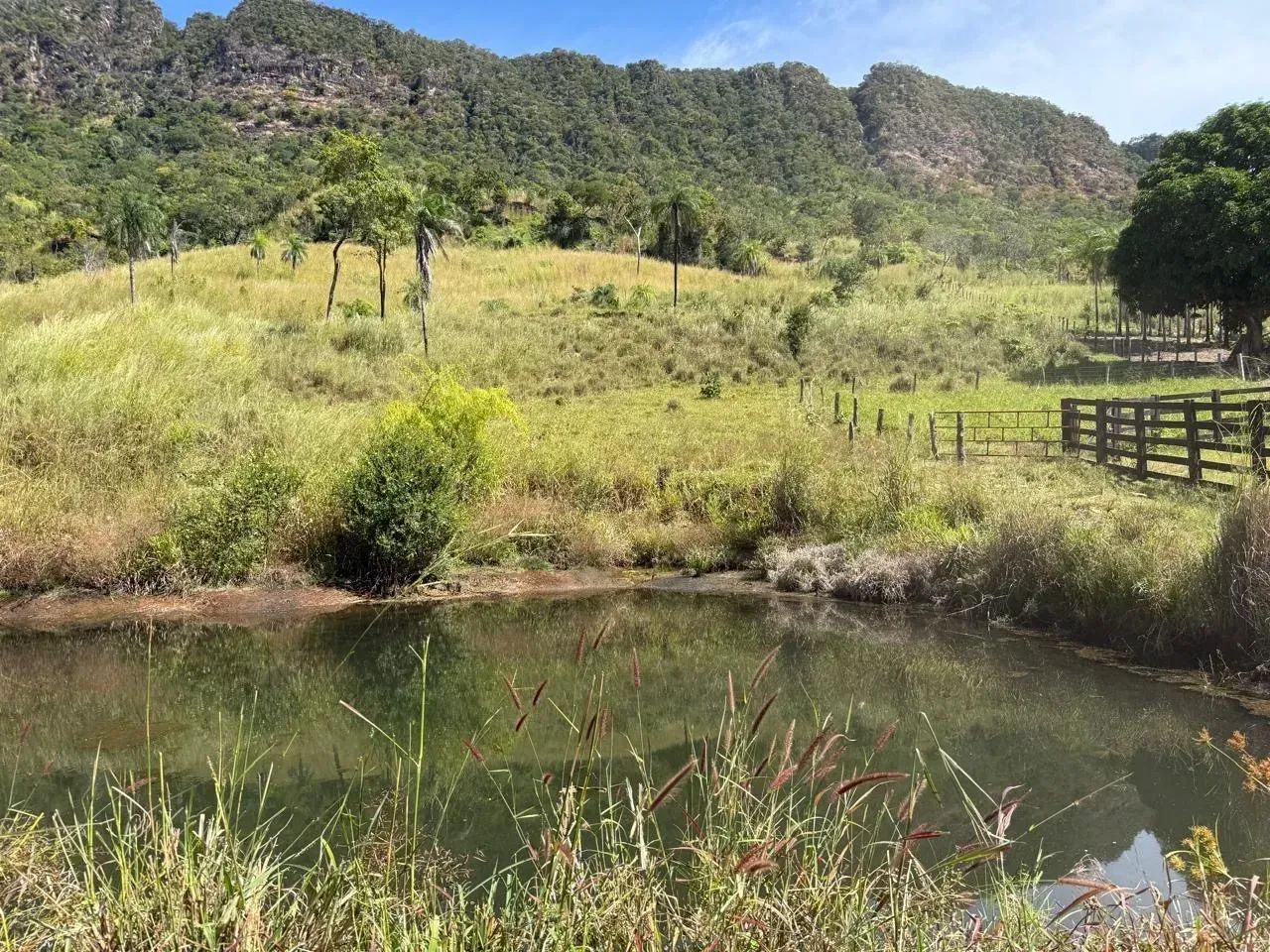 Fazenda  - Paranã - TO - Foto 4