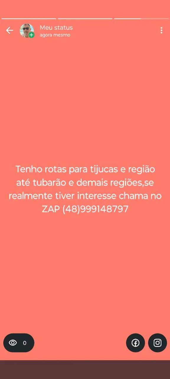 Mini vaca e mini touro  - Foto 3