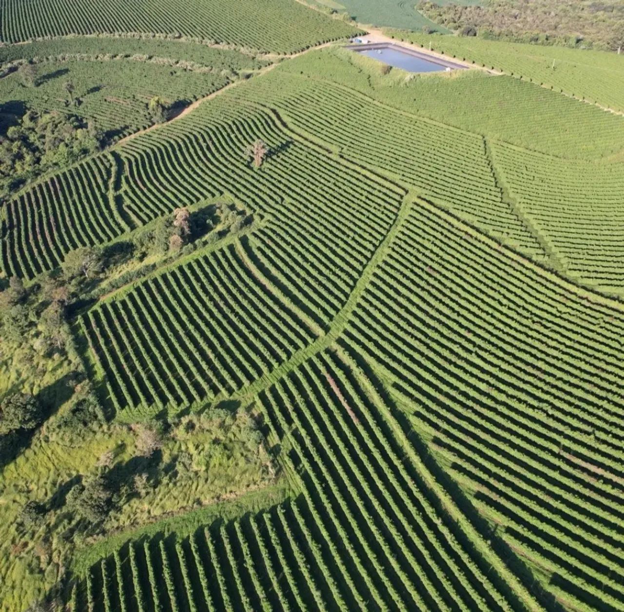 Fazenda de café em Ibiraci/MG - Foto 2
