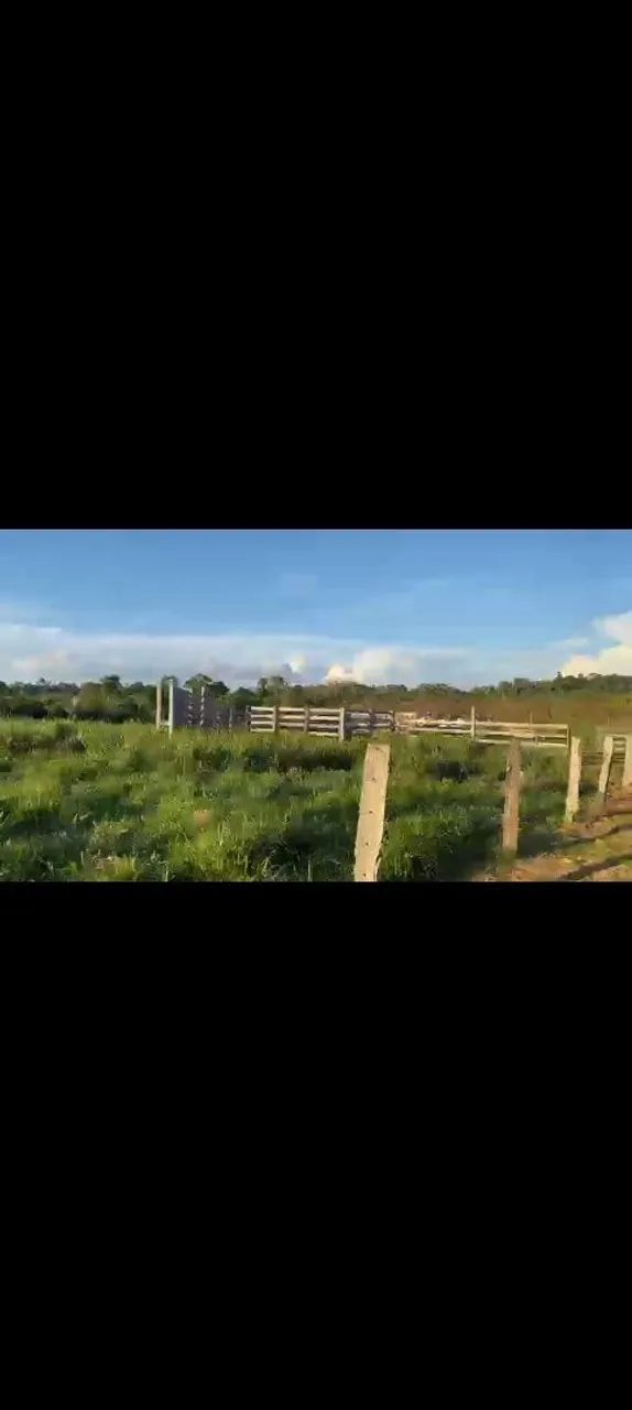 Vende-se sitio  - Foto 4