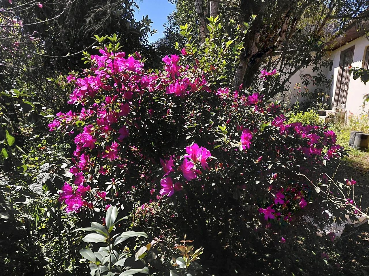 Casa  comercial  rural.  - Foto 5