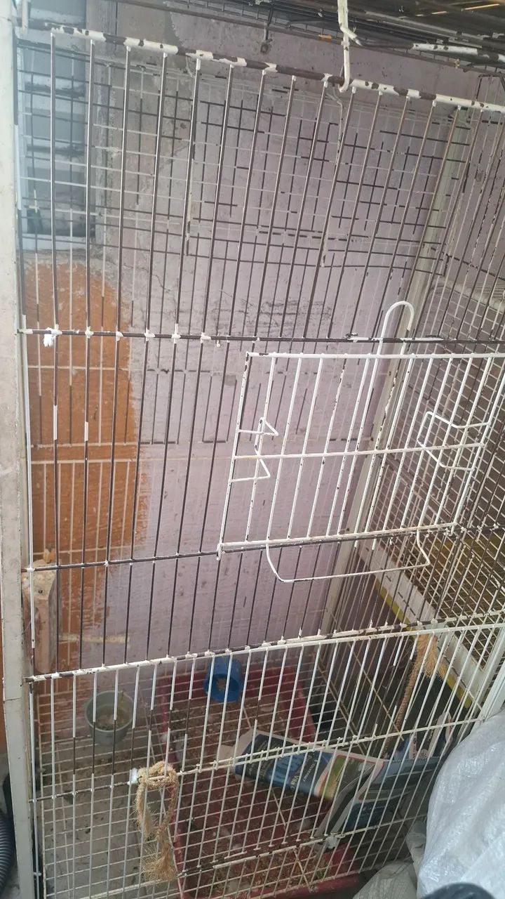 Gaiola