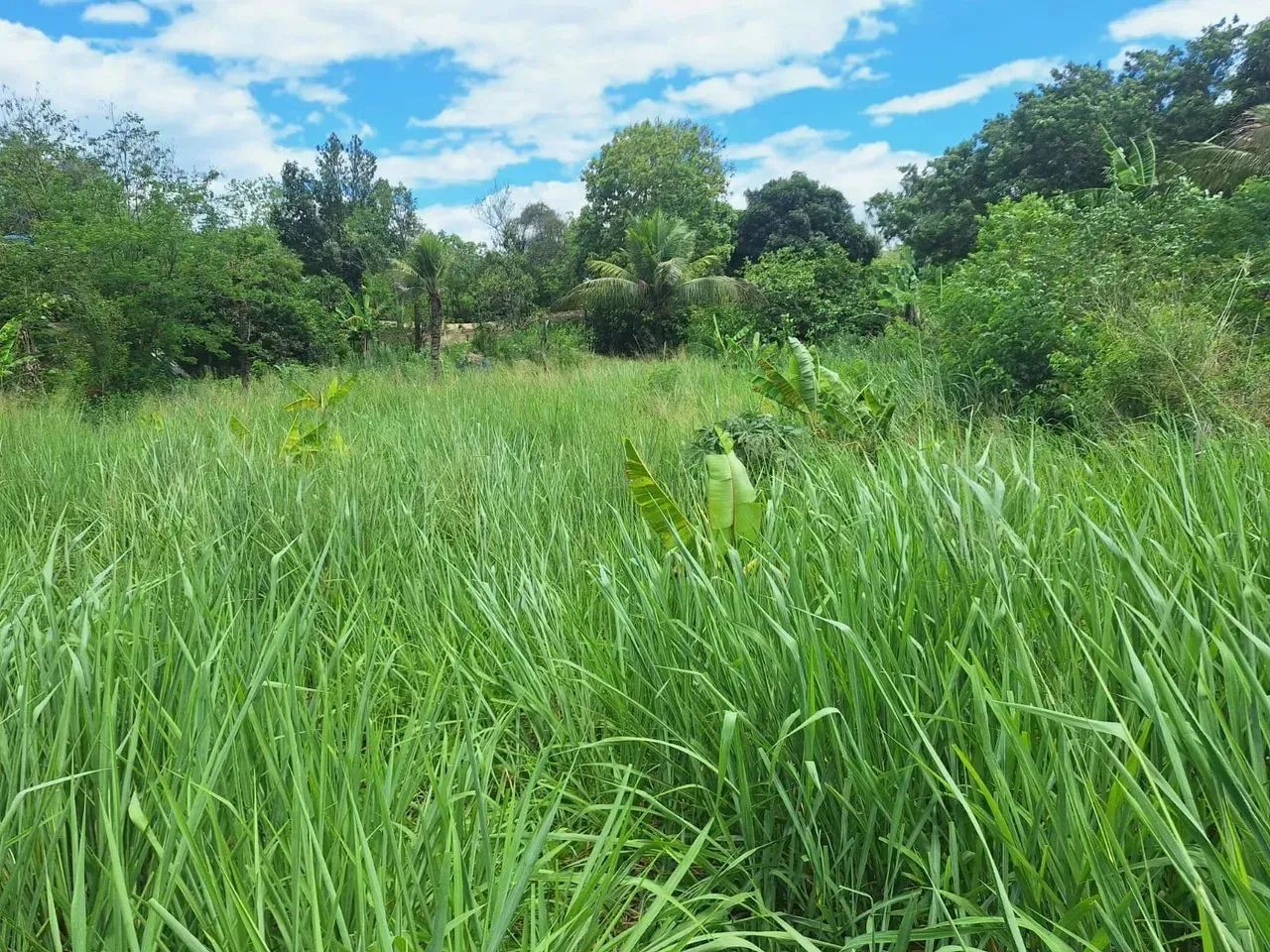 área para chácara com 2.500m² - Foto 14