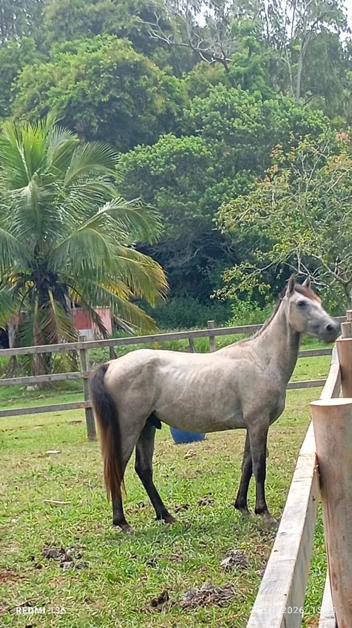 Vendo ou negocio - Foto 5