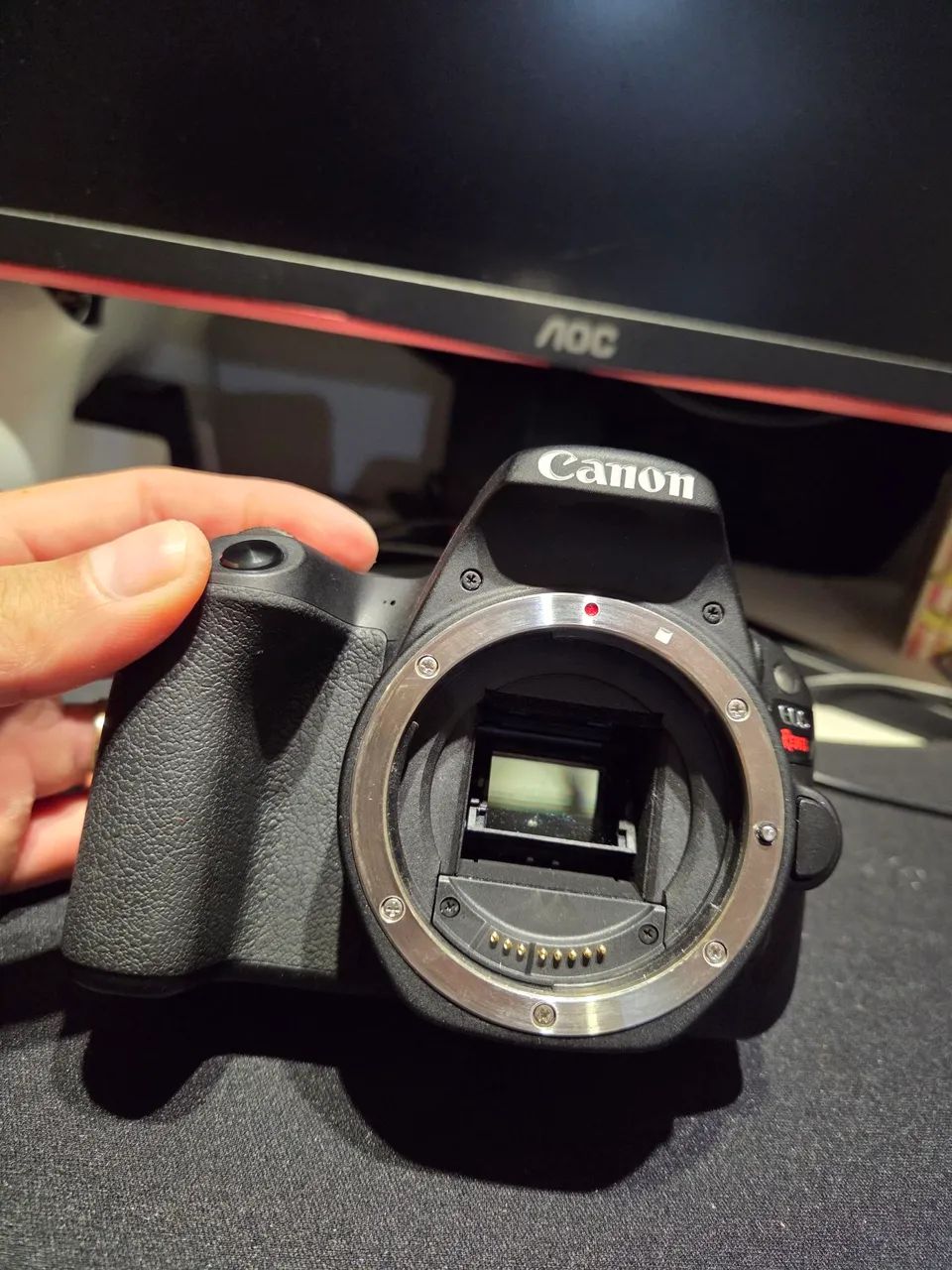 Canon EOS SL2 - Foto 2