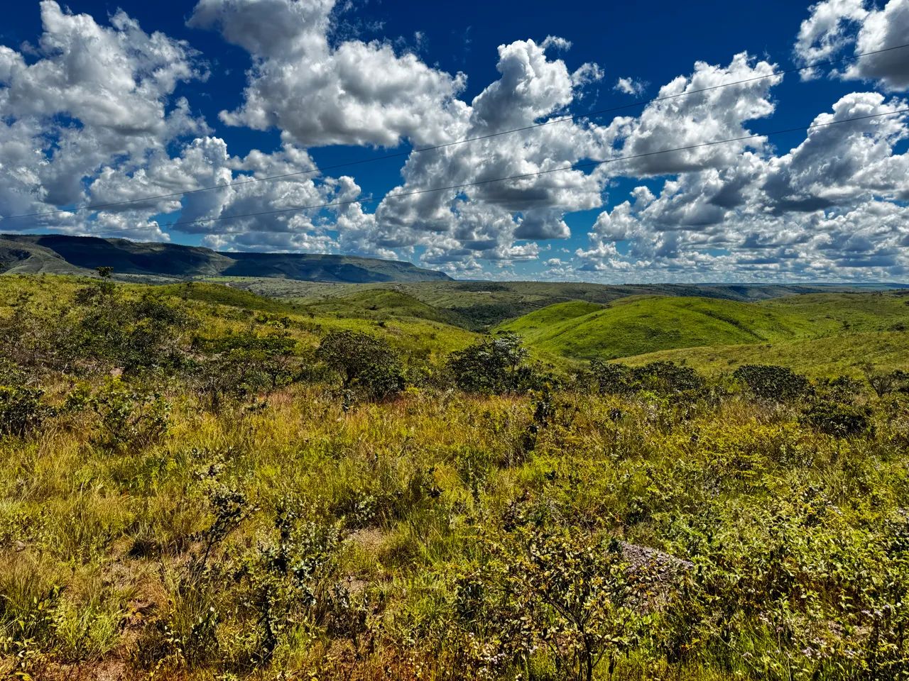 Fazenda com 134 hectares Chapada dos Veadeirosb - Foto 5