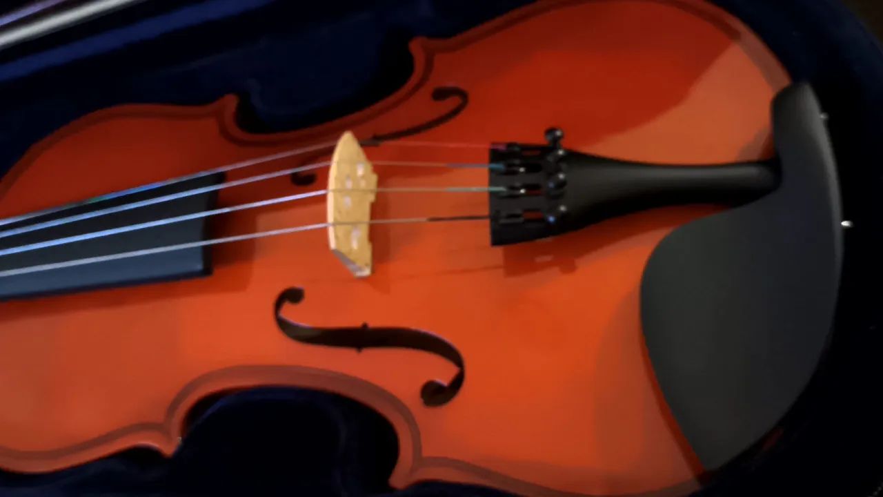 VIolino ? Zelmer - Foto 2