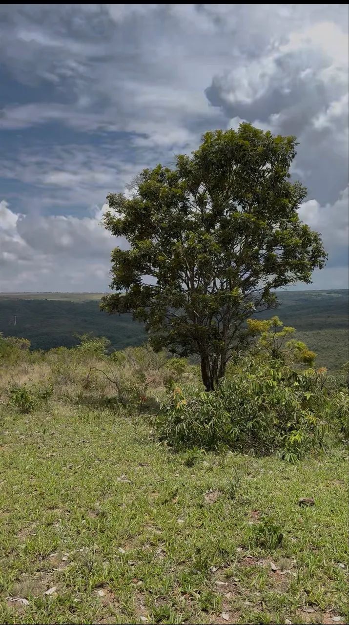 CHACARA 8 Ha com área verde 3km da cachoeira Poço azul  - Foto 4