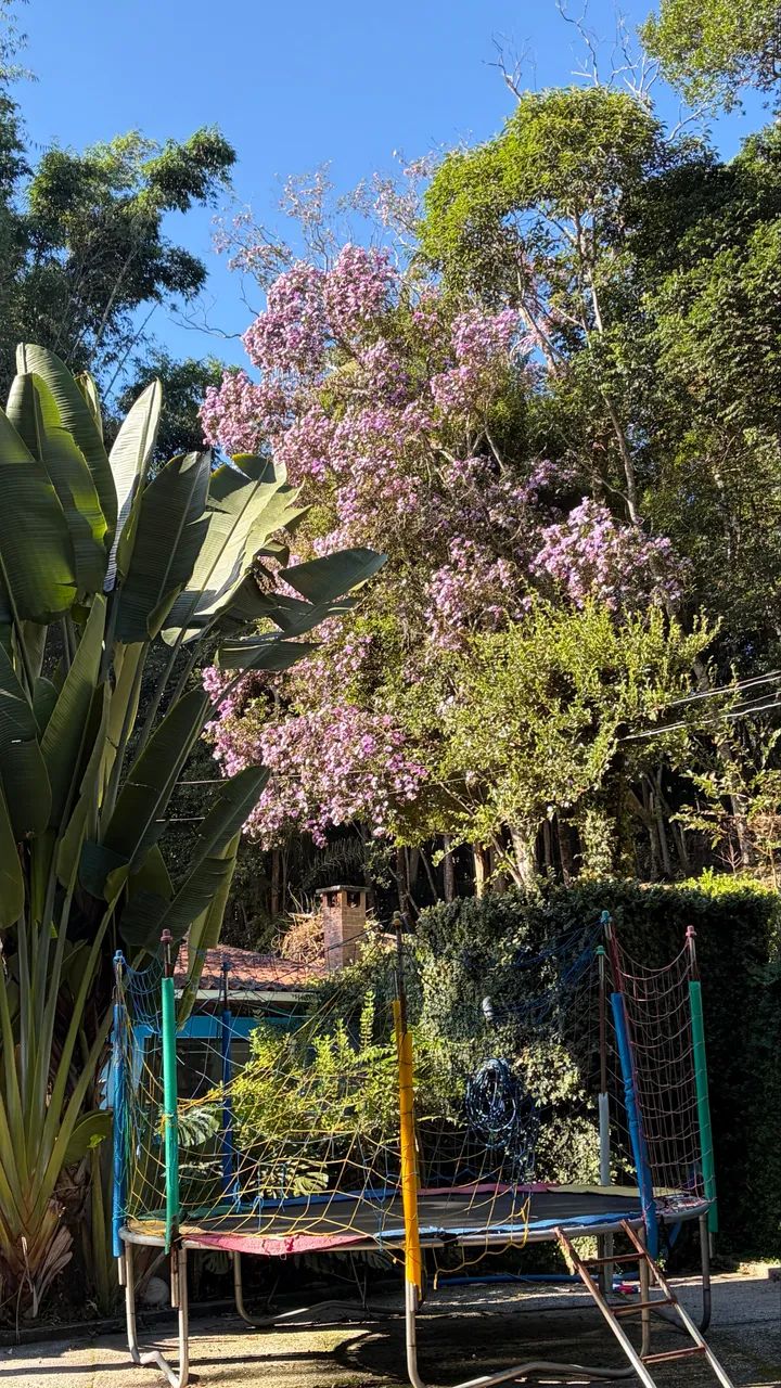 Foto - Mogi das Cruzes - Biritiba Ussu