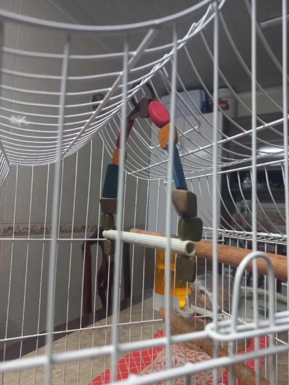 Gaiola Quatiga  - Foto 2