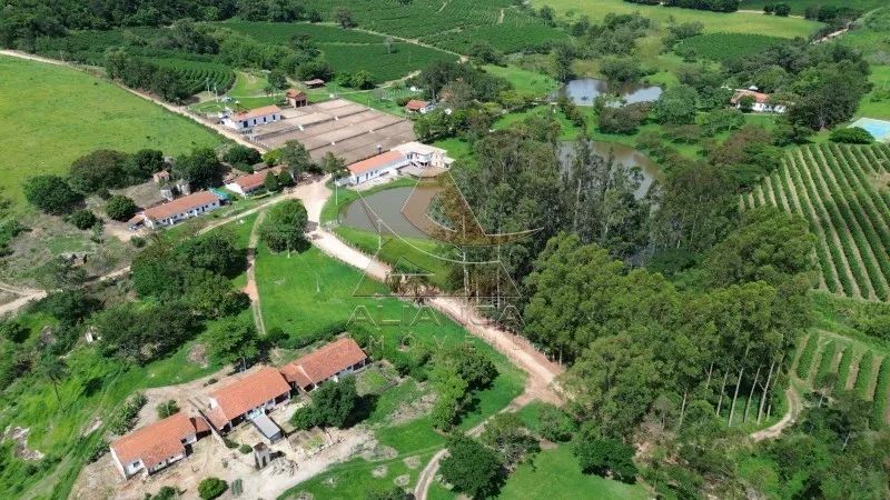 Fazenda - Amparo - Zona Rural - Foto 2