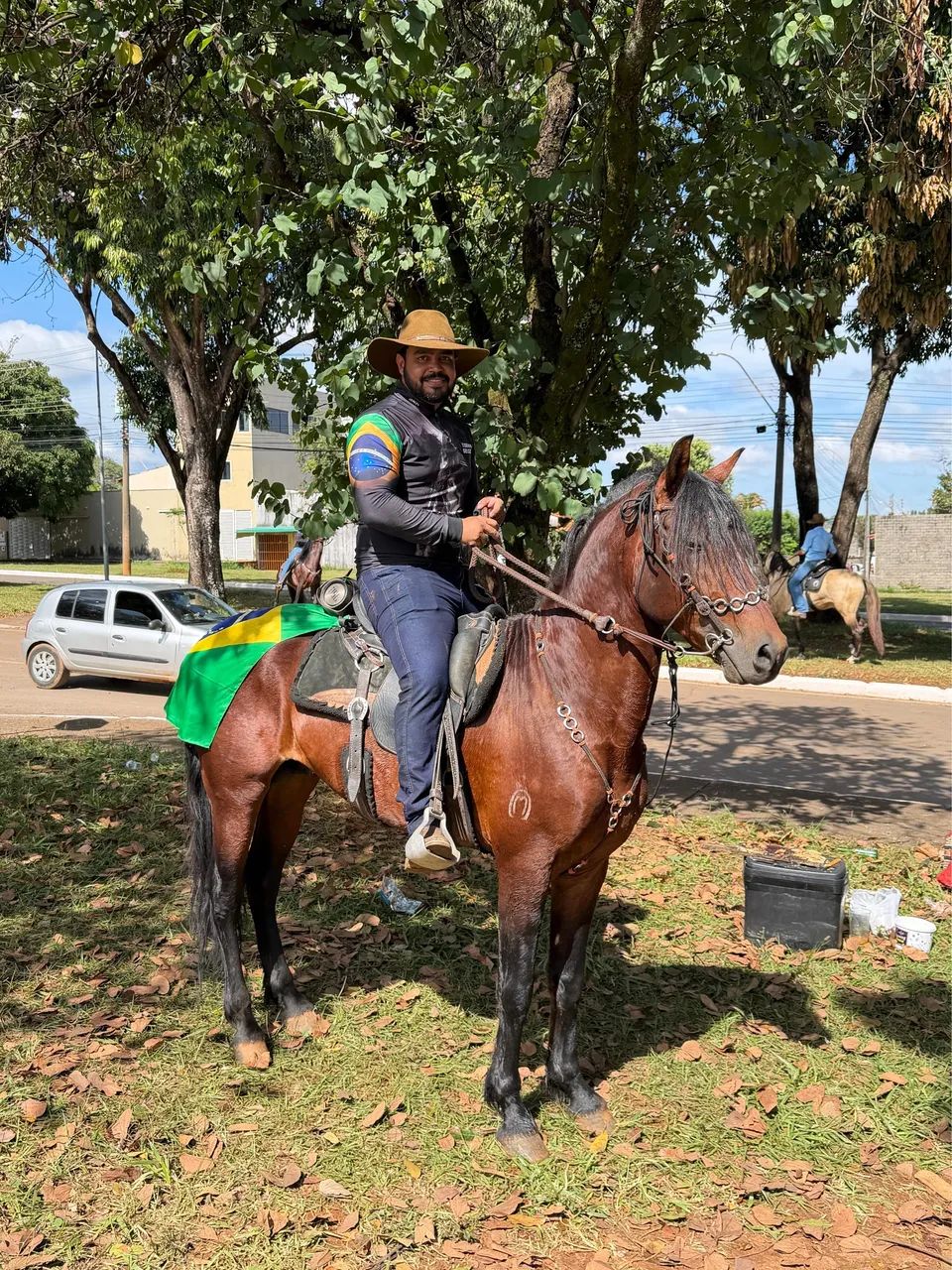 Cavalo mangalarga  - Foto 5