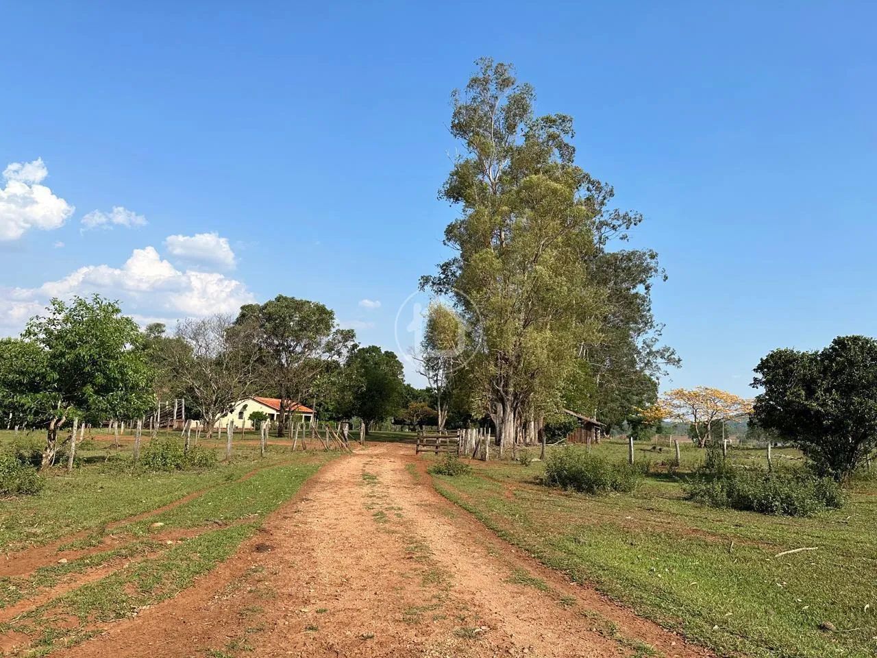FAZENDA PARA CRIAÇÃO DE GADO -117 HA - ROCHEDO/MS - Foto 2