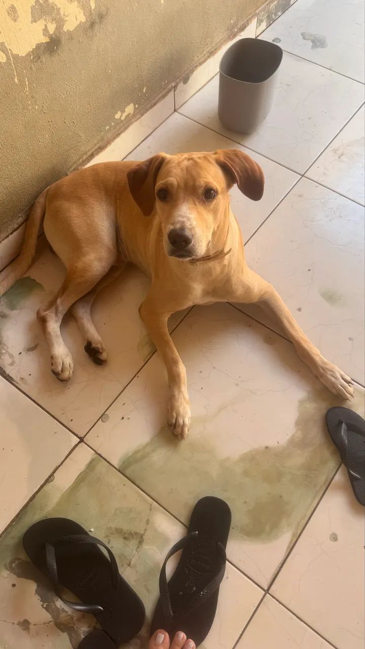 Doação  - Foto 3