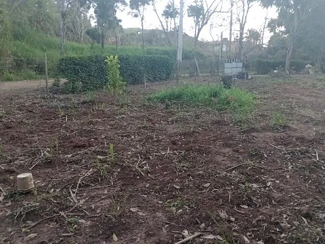 terreno para sítio / chácara com 6.590m² - Foto 3