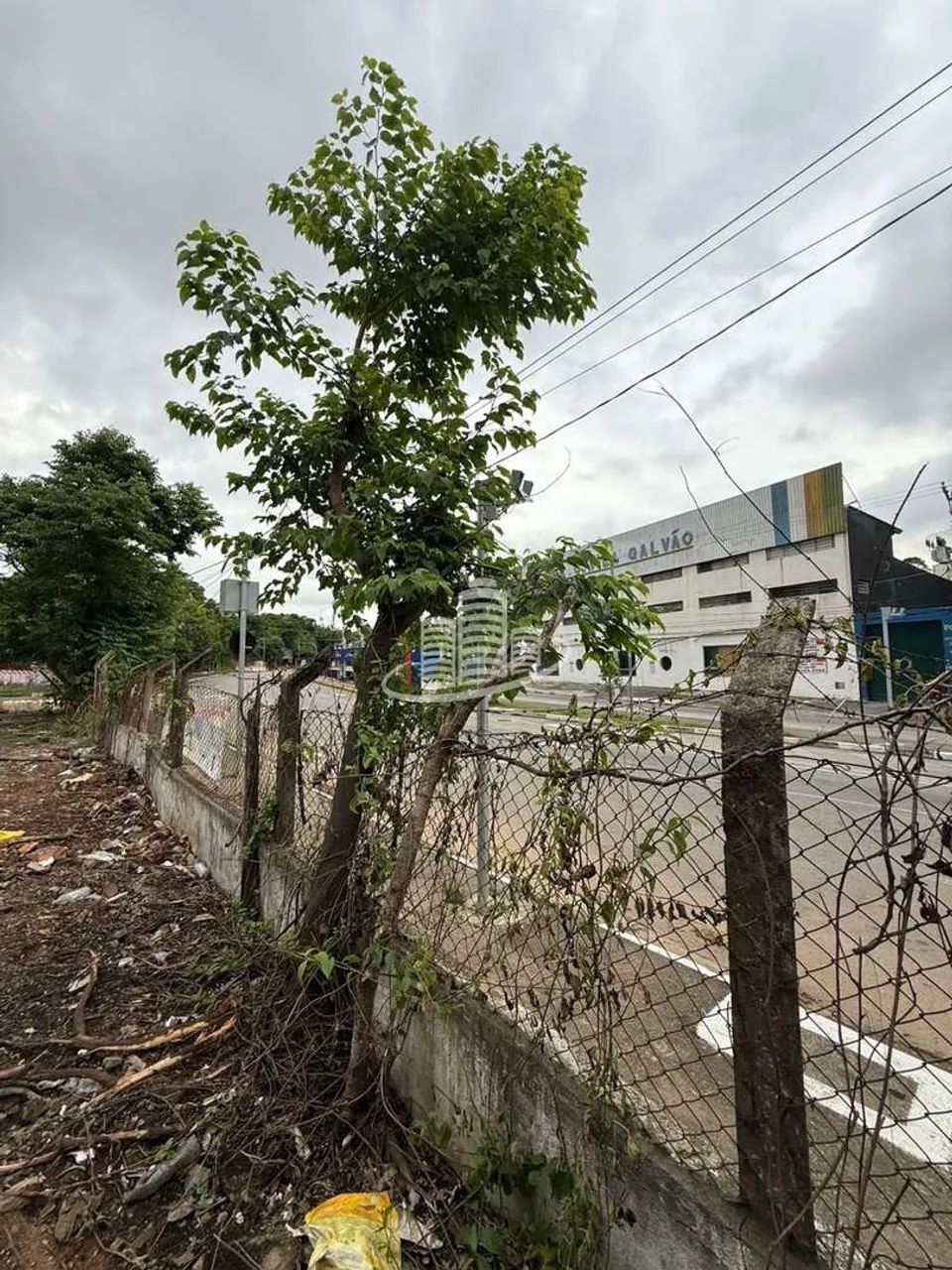 Terreno, Vila Galvão, Guarulhos - R$ 4.5 mi, Cod: 15379 - Foto 3