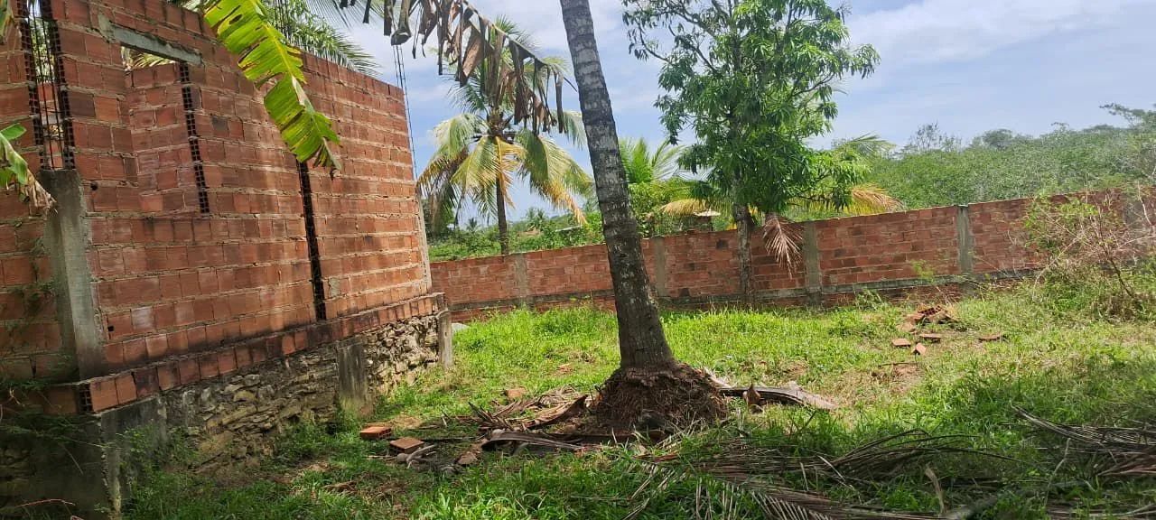 Sitio 45.000 - Foto 4