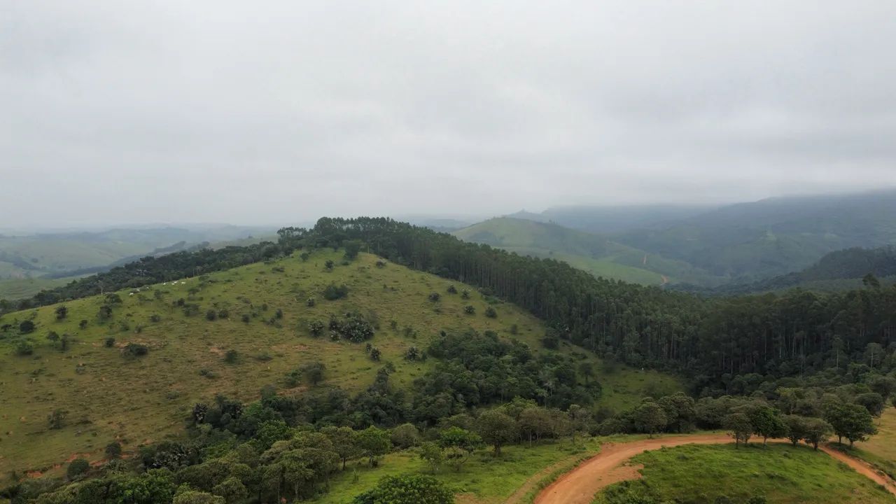 Chácara 20.000m² -  Tremembe - SP  - Foto 2