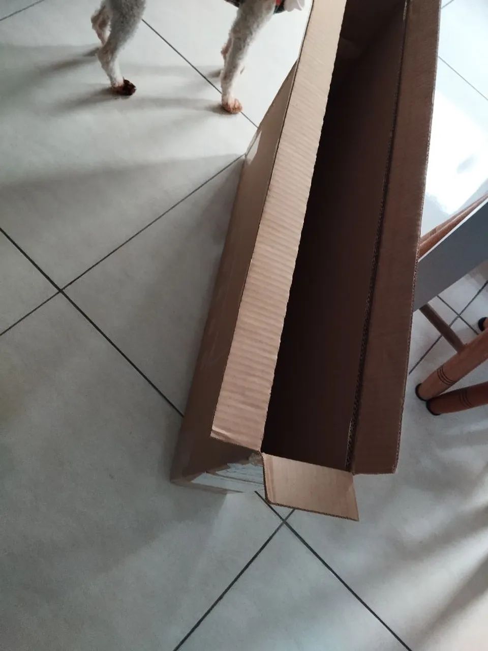 Vendendo tv 32 polegadas nova , porém baixei o preço pra vender por motivos pessoais. - Foto 4