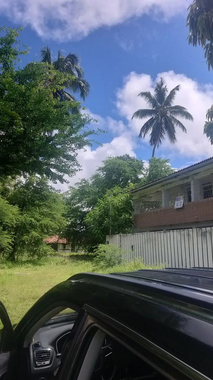 Foto - Tamandaré - 