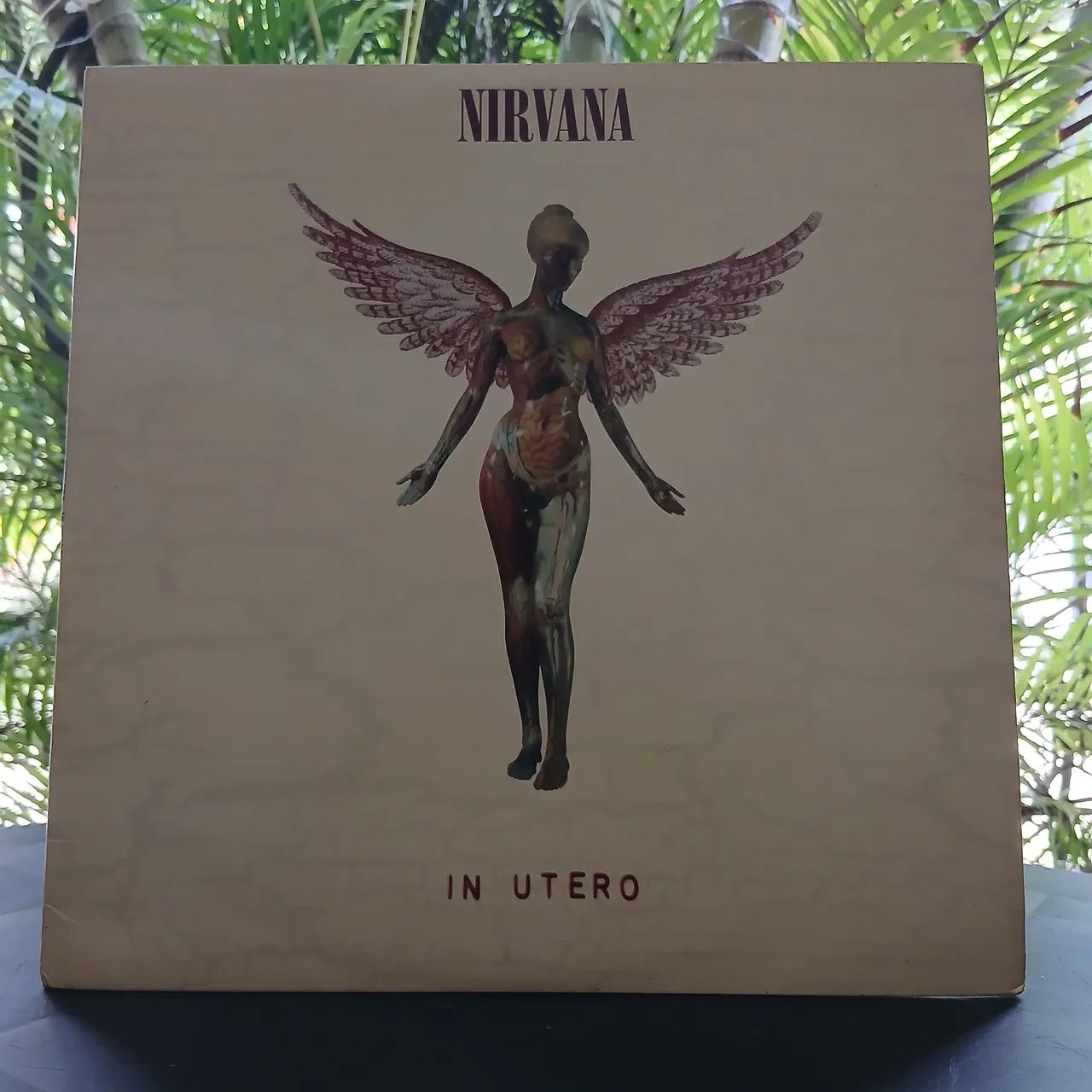 Vinil Nirvana - In Utero