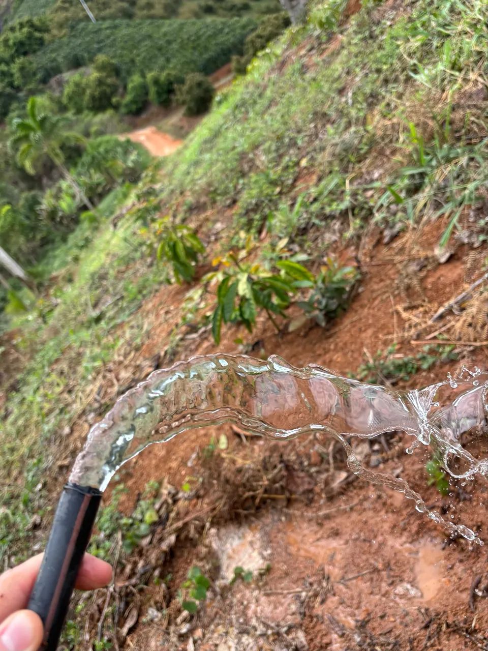 Terreno em vargem alta  - Foto 2