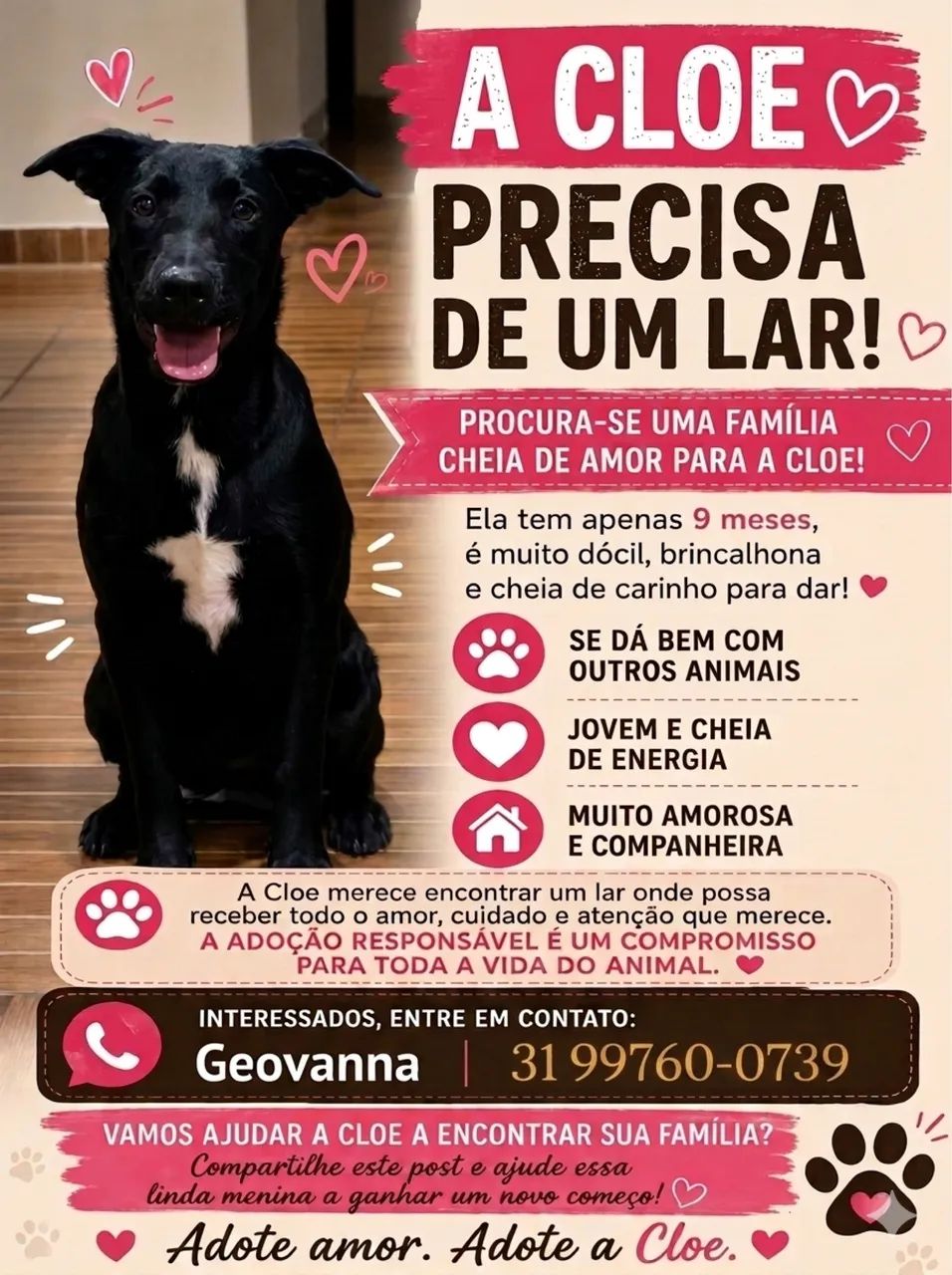 Doação de animal  - Foto 3