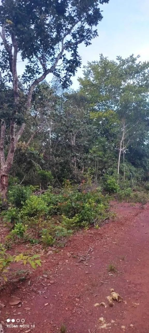Fazenda para Venda em Monte Santo do Tocantins - Foto 3