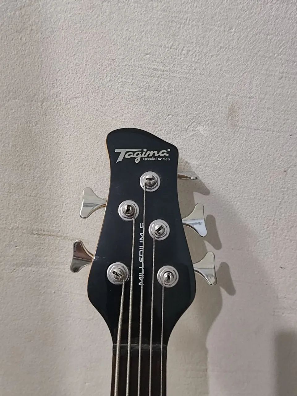 Baixo Tagima  - Foto 2